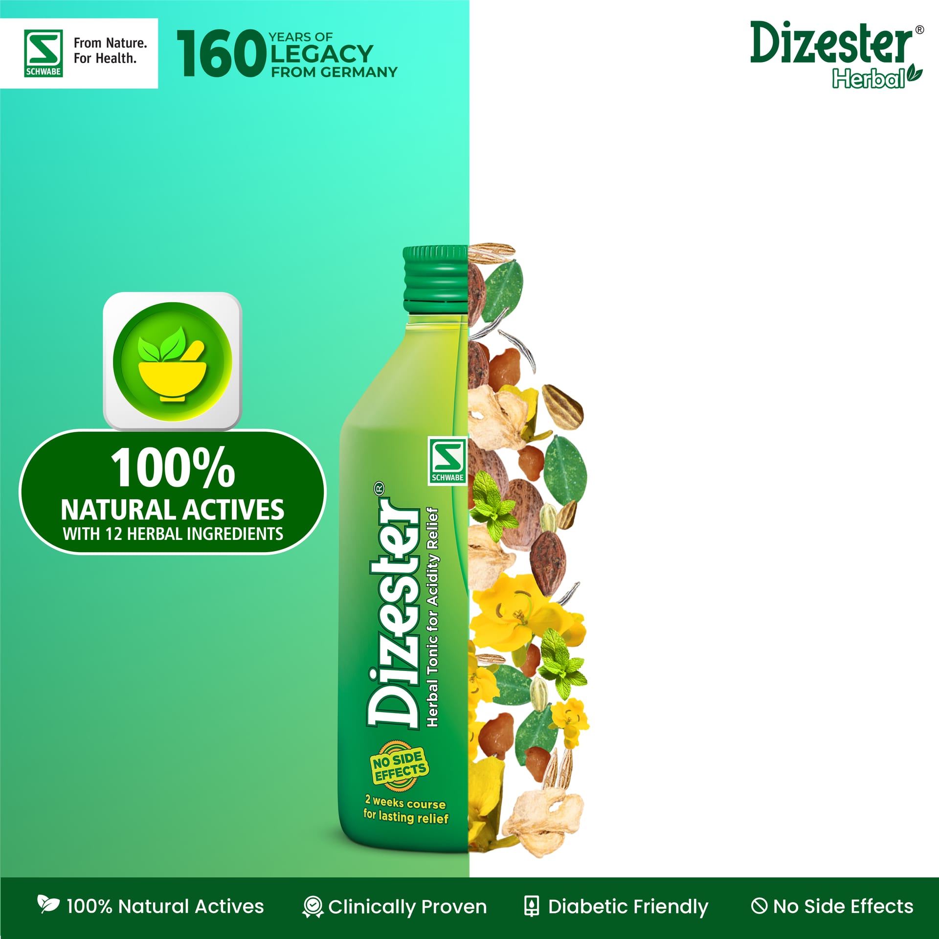Dizester Herbal image 3