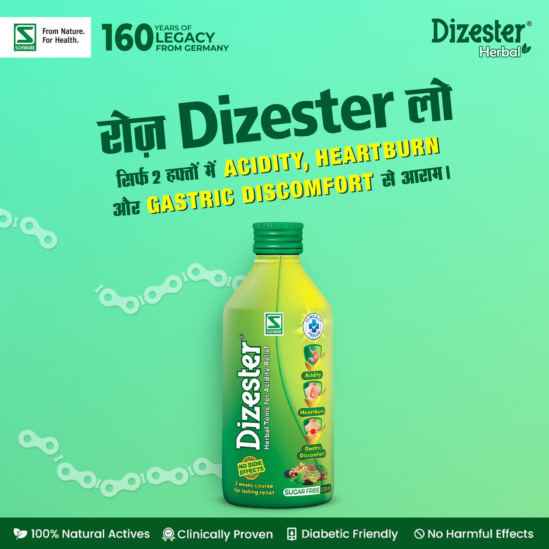Dizester Herbal image 7