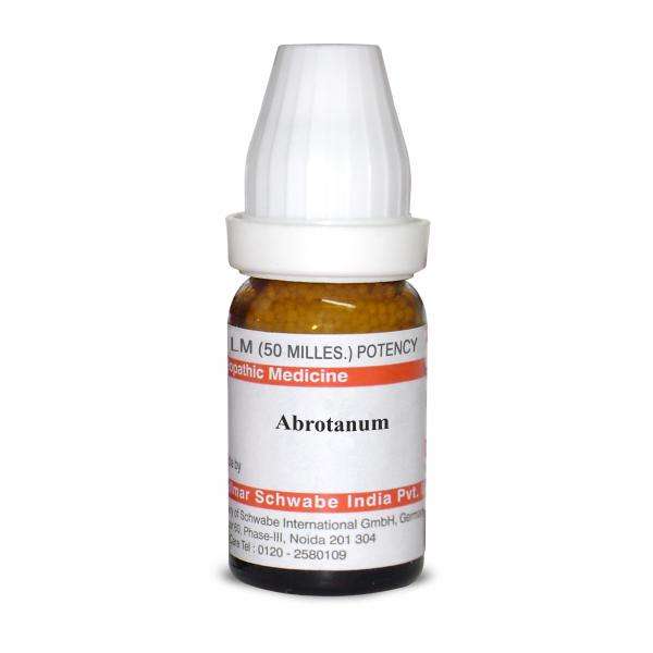 Abrotanum LM image 1