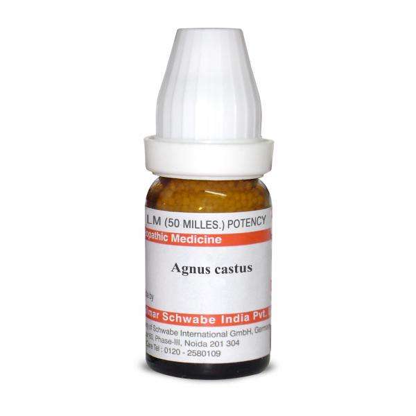 Agnus castus LM image 1