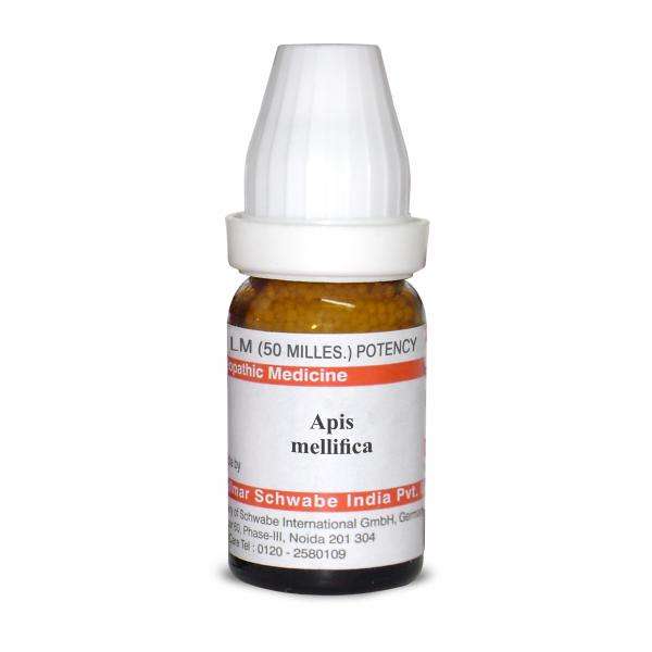 Apis mellifica LM image 1