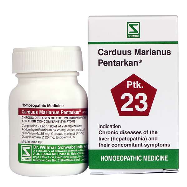 Carduus Marianus Pentarkan image 1