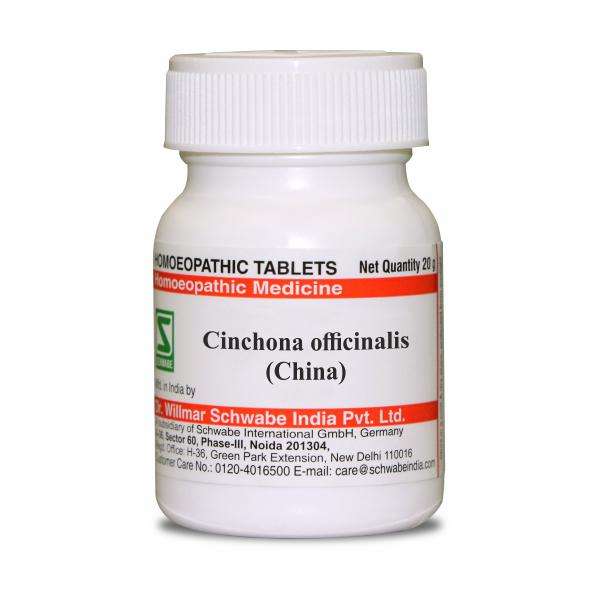 Cinchona officinalis (China) LATT image 1