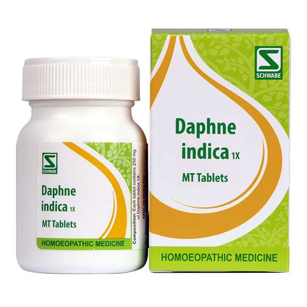 Daphne indica 1x image 1