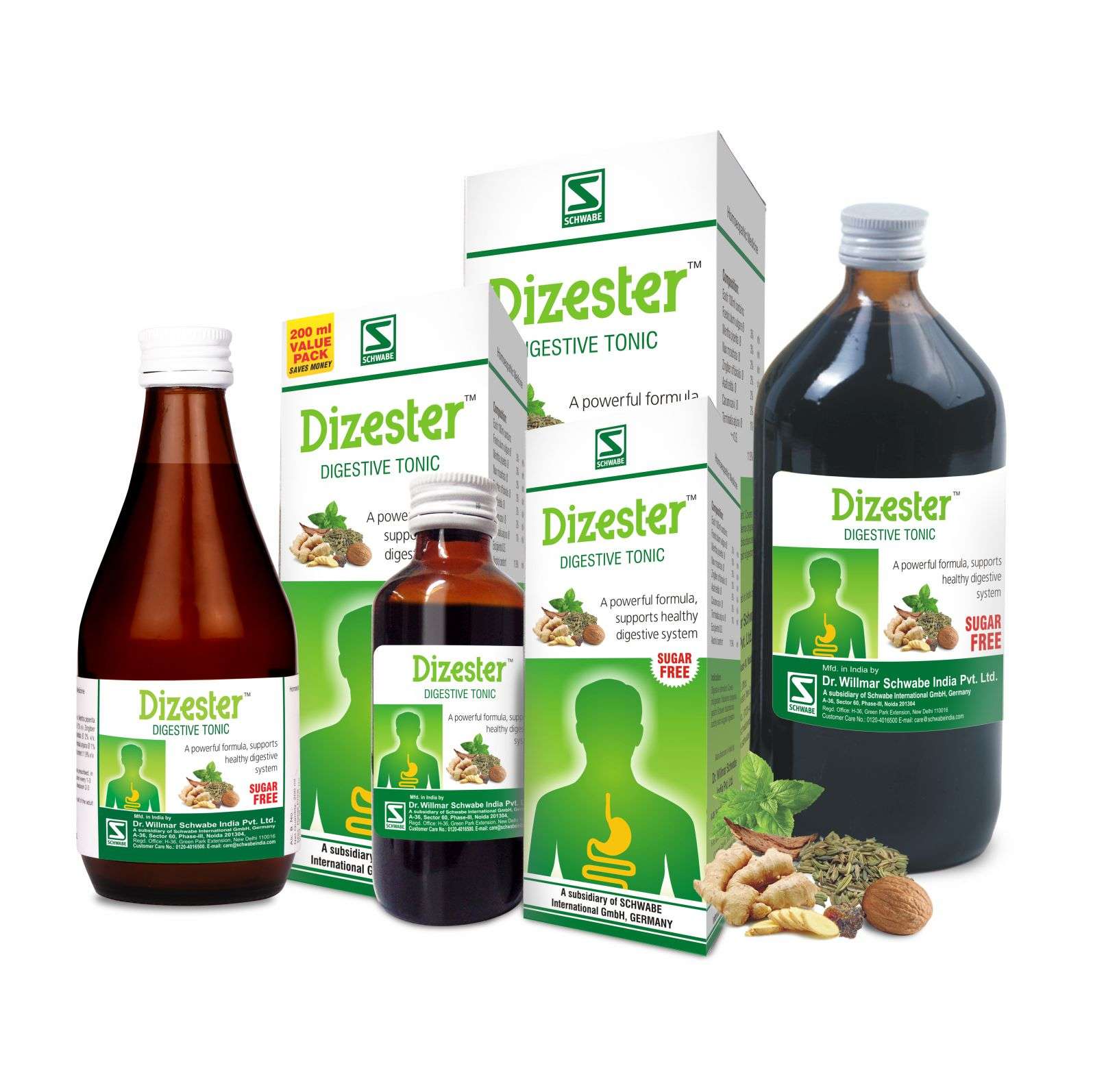 Dizester image 1