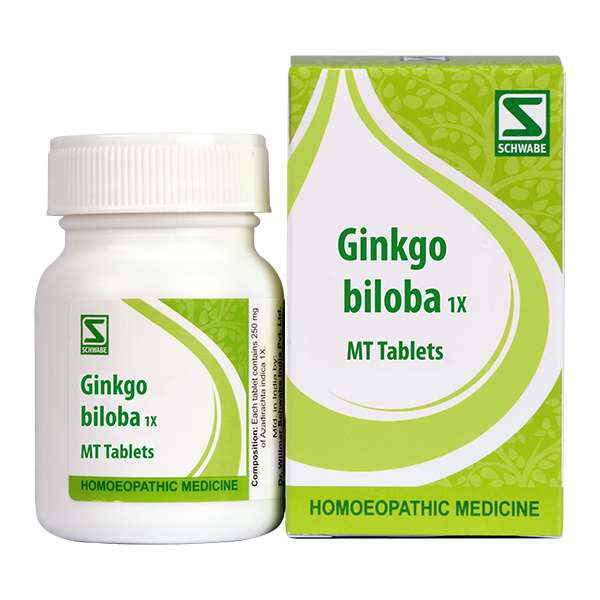 Ginkgo biloba 1X image 1