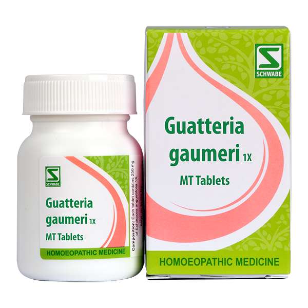 Guatteria gaumeri 1x image 1