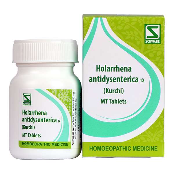 Holarrhena antidysenterica 1x image 1