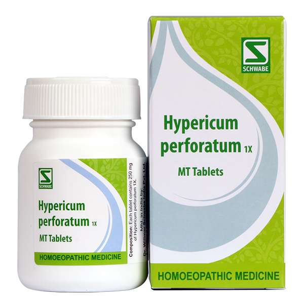 Hypericum perforatum 1X image 1