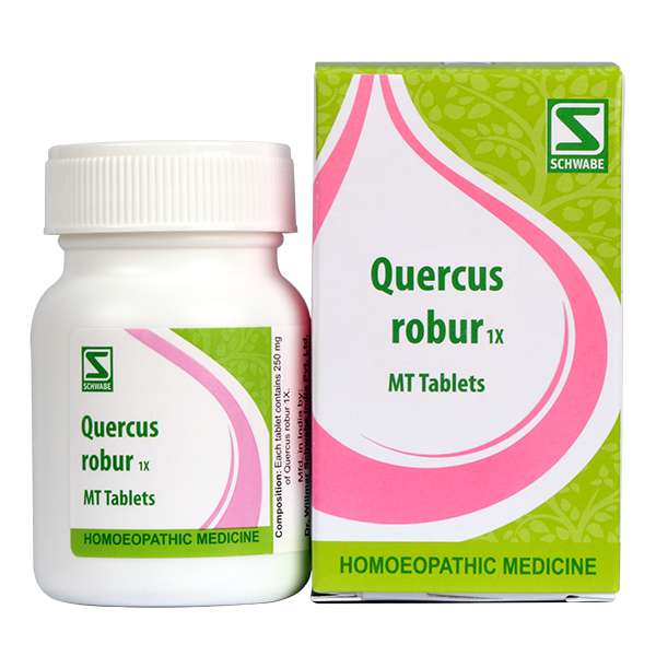 Quercus robur 1x image 1