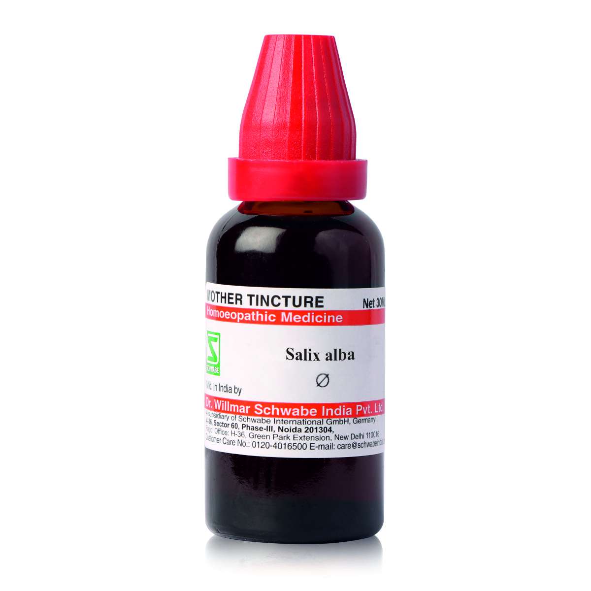 Salix alba MT image 1