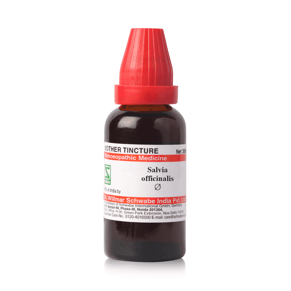 Salvia officinalis MT image 1