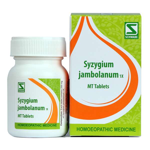 Syzygium jambolanum 1X image 1
