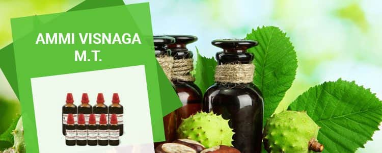 Featured image for ammi-visnaga-m-t