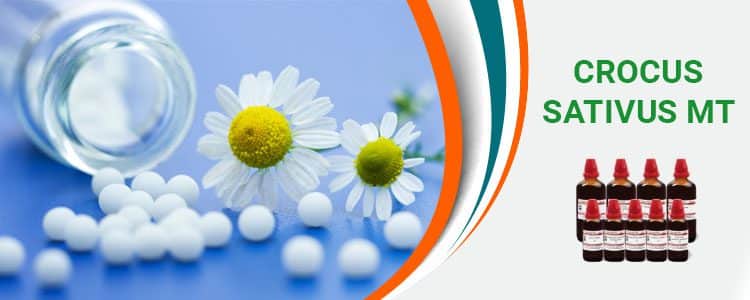 Featured image for crocus-sativus-m-t