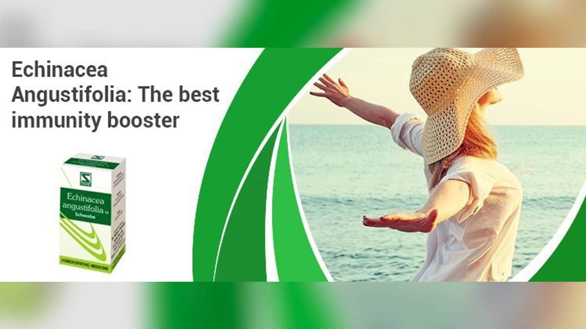 Featured image for echinacea-angustifolia-the-best-immunity-booster