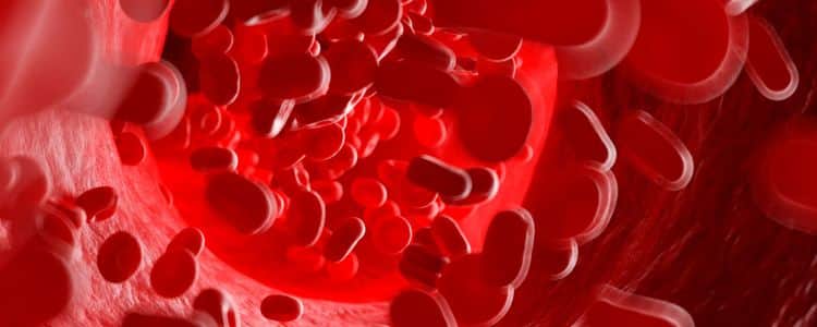 From Newborns to Adults: Why Haemoglobin Levels Spike and When to Worry
