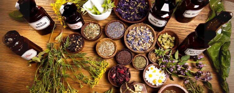 How to Reduce Uric Acid with Herbal Remedies: A Guide for Seniors