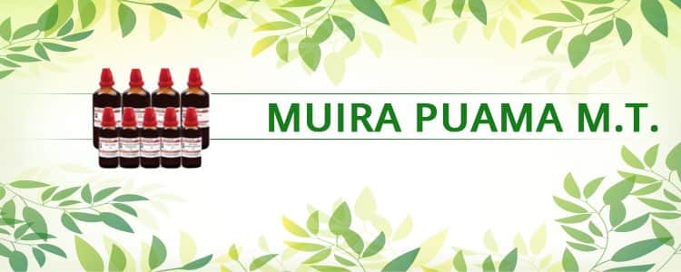 Featured image for muira-puama-m-t