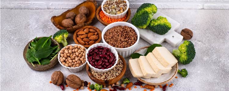 Plant-Based Protein: High-Protein Veg Foods Guide