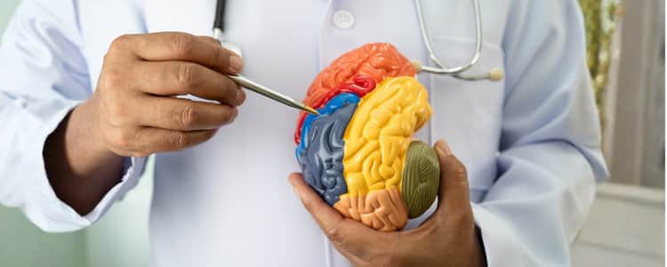 Risk Factors for Alzheimer's Disease: What Increases the Chances?