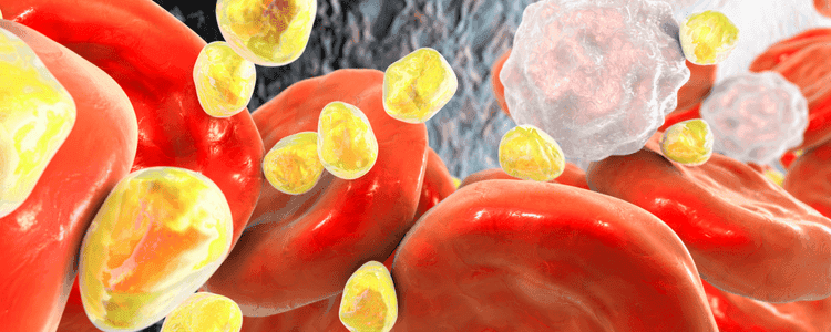 Understanding Cholesterol: How to Stay on Top of Your Heart Health