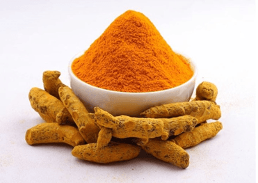 Schwabe News 2016 June- Proving & clinical verification- Curcuma longa