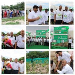 Development of Mini Forest by adopting Japanese Method ā Schwabe News Apr ā Dec 2019 ā Schwabe India
