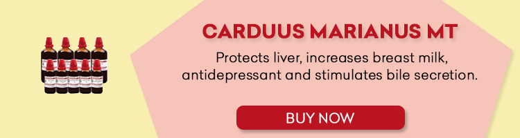 CARDUUS MARIANUS MT