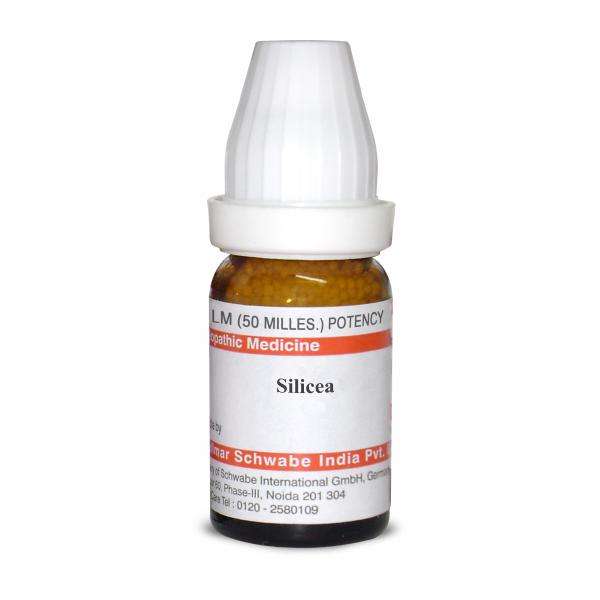 Silicea LM